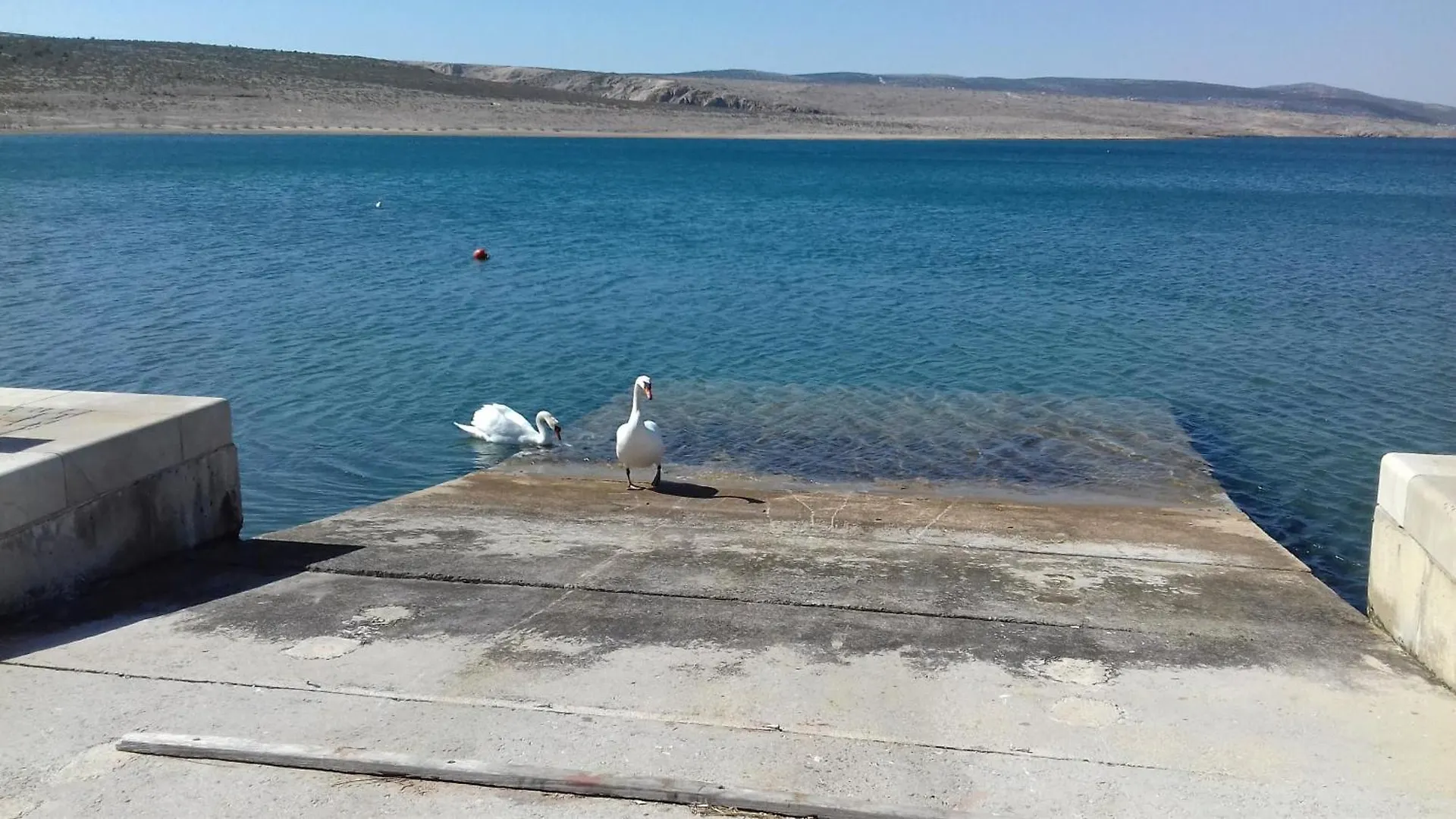 Apartman Maja روفانجسكا كرواتيا